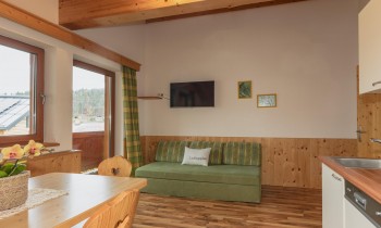 Wohnkueche im Appartement Gruen